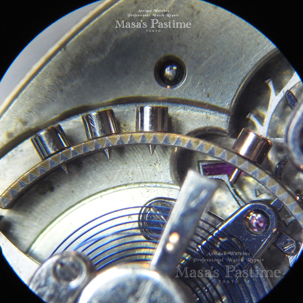 エケグレン　ソートゥースバランス